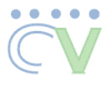 Creative Visibility Logo